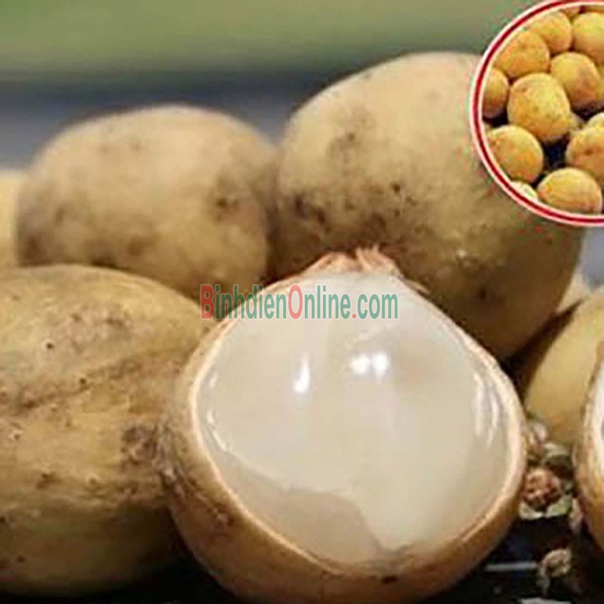 Bòn bon trái to, tươi ngon, loại 1